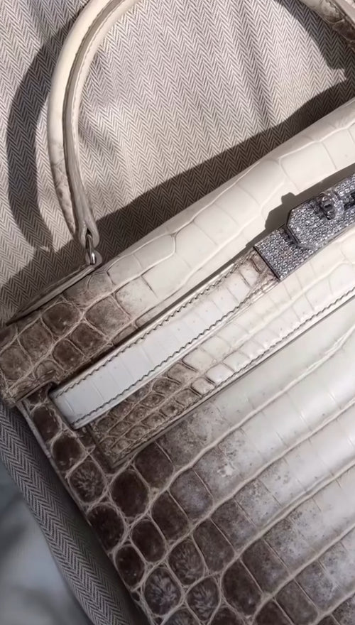 Birkin 30 Himalaya Niloticus Crocodile + Diamond Hardware (2026)