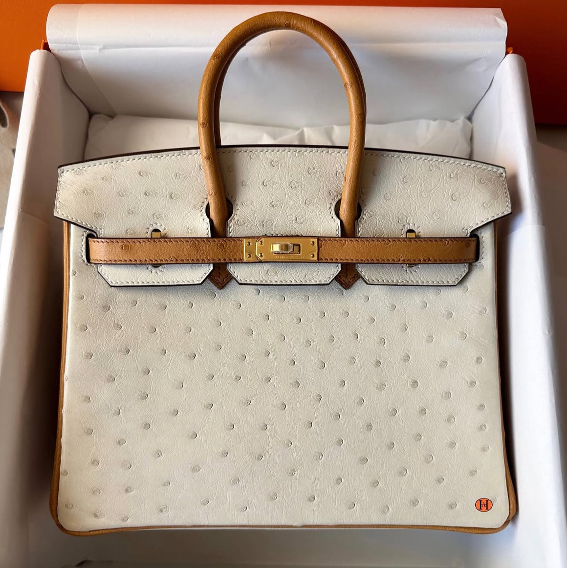 Birkin 25 Ostrich (2026)