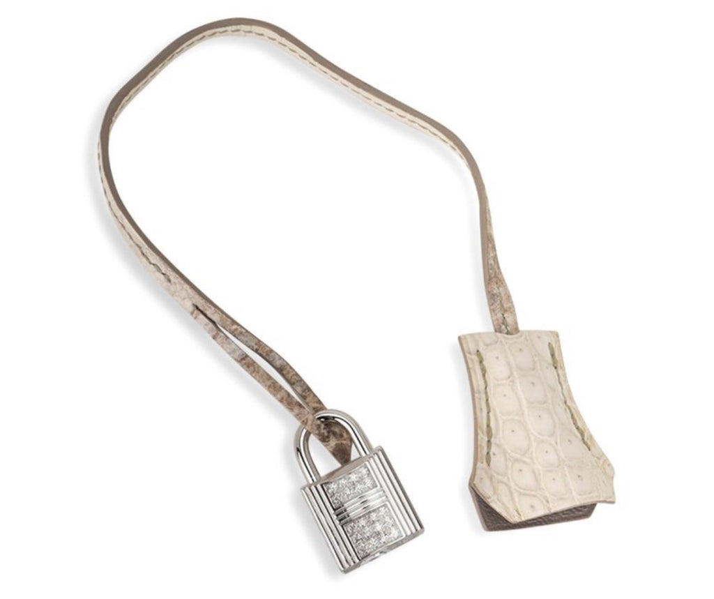 Hermès Birkin 35 Diamond Blanc Himalaya Matte Crocodile Limited Edition