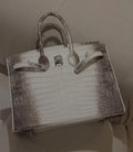 Birkin 30 Himalaya Niloticus Crocodile + Diamond Hardware (2026)