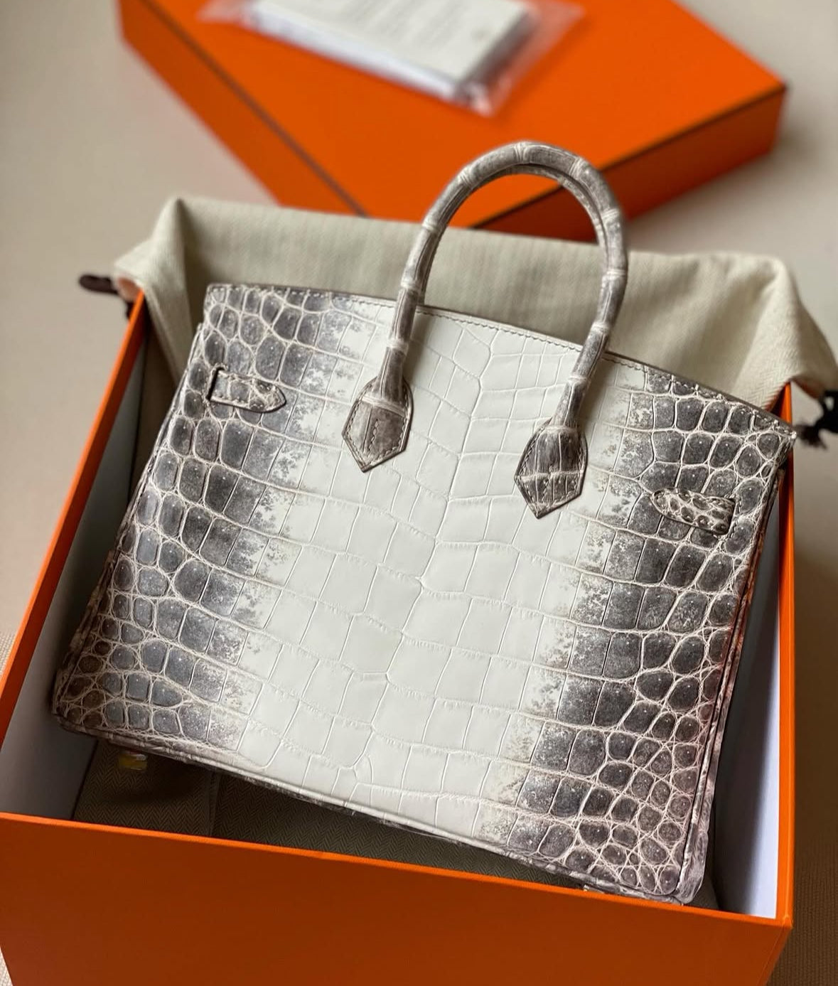 Birkin 30 Himalaya Crocodile + Palladium Hardware (2026)