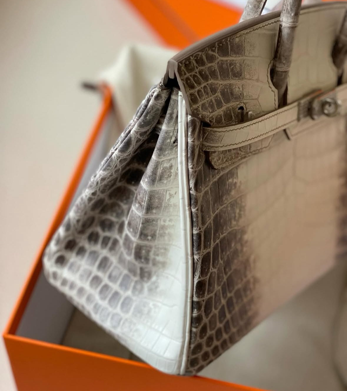 Birkin 30 Himalaya Crocodile + Palladium Hardware (2026)