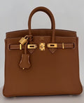 Birkin 25 Gold Togo + Gold Hardware (2026)
