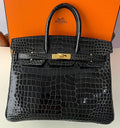 Birkin 25 Black Crocodile (2026)